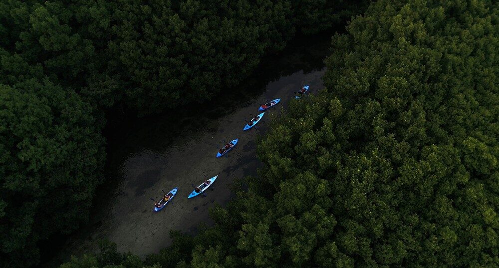 bio-bay-2-fajardo-e1651436184106